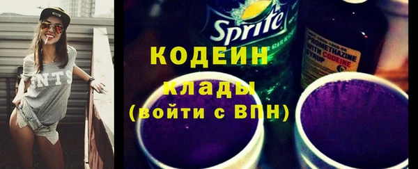 прущие грибы Балабаново