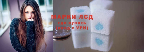 прущие грибы Балабаново