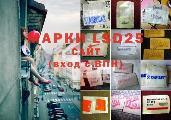 прущие грибы Балабаново