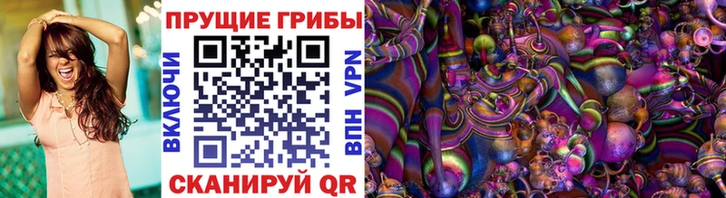 купить   Томмот  Галлюциногенные грибы Psilocybe 
